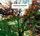 Artikelbild von In A Time Lapse