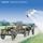 Artikelbild von Breaking Barriers