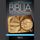 Artikelbild von Descifrar y entender la Biblia. Antiguo y nuevo testamento