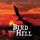 Artikelbild von Bird from Hell
