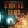 Artikelbild von Burning Guilt