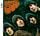 Artikelbild von Beatles, T: Rubber Soul (Remastered)