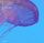 Artikelbild von More Essentials