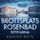 Artikelbild von Brottsplats Rosenbad: befriarna