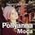 Artikelbild von Pollyanna Mo&ccedil;a