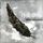 Artikelbild von Iron Skies