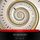 Artikelbild von The Time Machine