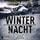 Artikelbild von Winternacht