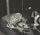 Artikelbild von Various (The Dynamic Label): Eccentric Soul Vol.14