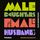Artikelbild von Male Daughters, Female Husbands