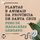 Artikelbild von Plantas e animais da prov&iacute;ncia de Santa Cruz: Trechos selecionados de "Hist&oacute;ria da prov&iacute;ncia de Santa Cruz"