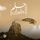 Artikelbild von Dream of flying