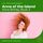 Artikelbild von Anne of the Island