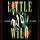 Artikelbild von Little Wild