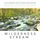 Artikelbild von Peaceful Water Sounds With Deep Forest Ambiance: Wilderness Stream & Babbling Brook