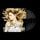 Artikelbild von Fearless