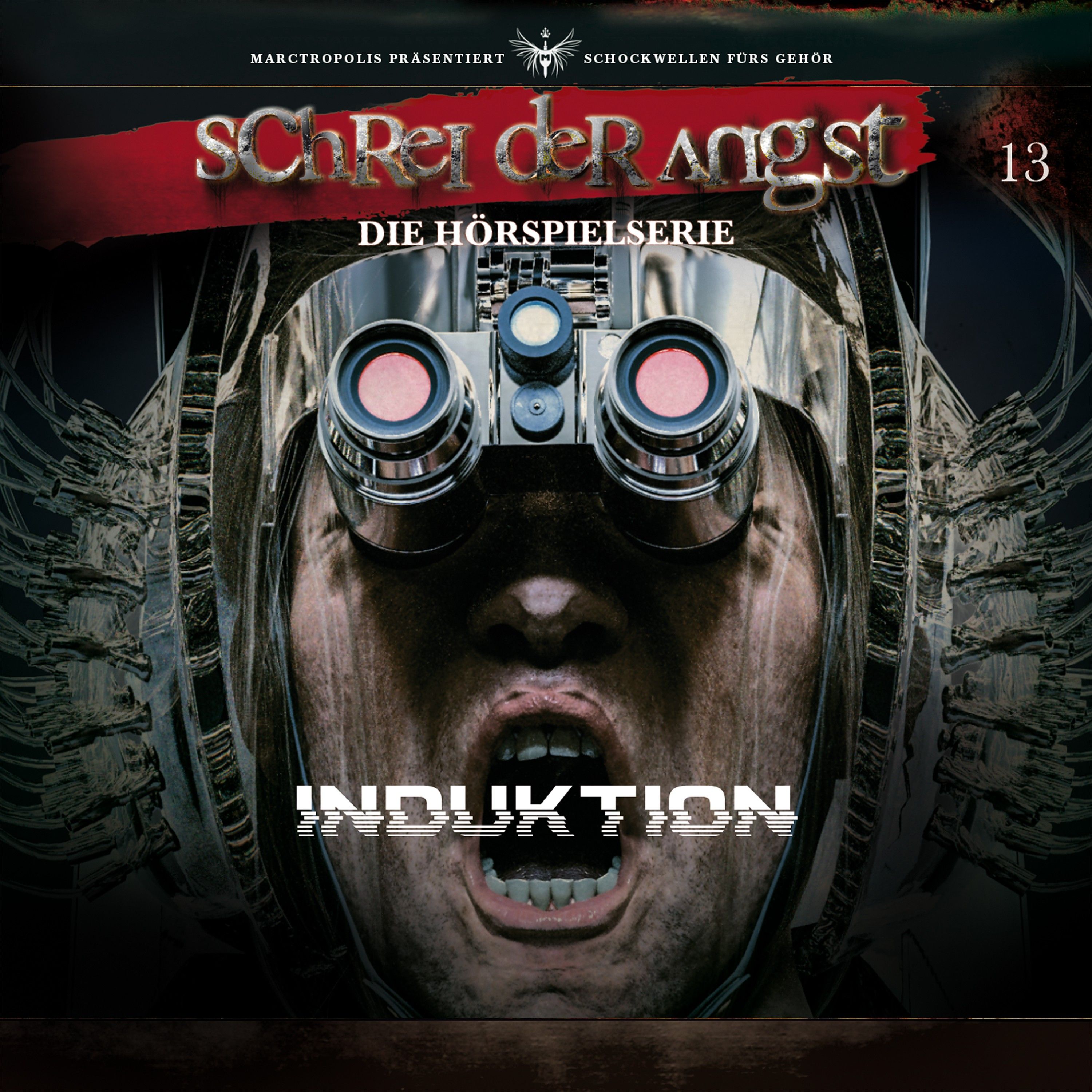 Artikelbild von Folge 13 - Induktion