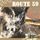 Artikelbild von Route 59