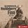 Artikelbild von Las aventuras de Huckleberry Finn