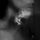 Artikelbild von Holding Absence
