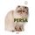Artikelbild von El gato persa