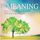 Artikelbild von Meaning