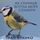 Artikelbild von How the tit wanted to burn the sea