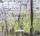 Artikelbild von Rapture