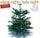 Artikelbild von Silent Night-Holy Night