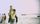thumbnail-12