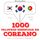 Artikelbild von 1000 palavras essenciais em coreano
