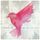 Artikelbild von Big sky,little bird