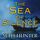 Artikelbild von The Sea of Silence