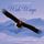 Artikelbild von Wide Wings