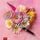 Artikelbild von A Spring to Hope