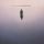 Artikelbild von In The Morning Light