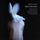 Artikelbild von Into Eternity
