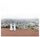Artikelbild von Asphalt Meadows