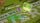 thumbnail-10