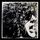 Artikelbild von Overnight Angels (Collector's Edition)
