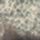 Artikelbild von Ourselves,as we are