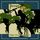 Artikelbild von Tarzan of the Apes