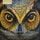 Artikelbild von A Watchful Gaze