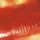 Artikelbild von Kiss Me,Kiss Me,Kiss Me (2 LP)