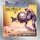 Artikelbild von Schrecken der Hohlwelt / Perry Rhodan Silber Edition Bd. 22