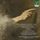 Artikelbild von Cantatas Vol.2