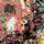 Artikelbild von The Tea Party (Ltd. 2CD Deluxe)