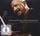 Artikelbild von Live! One Great Night