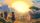 thumbnail-7