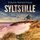 Artikelbild von Syltstille